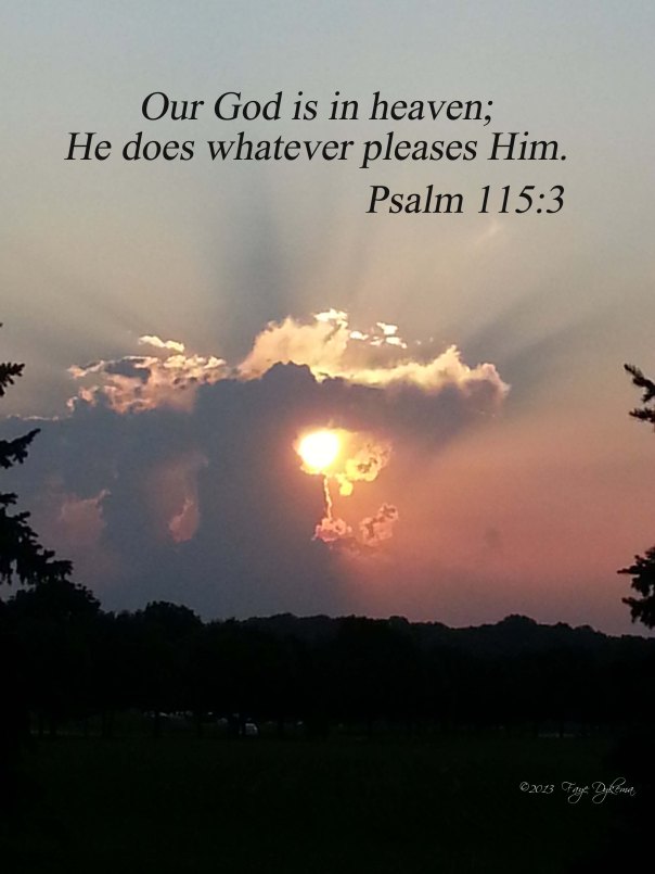 Psalm 115 3 pleases God web
